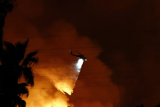 I Survived the California Wildfires 2025 – A Journey of Strength and Survival