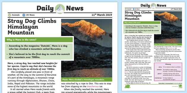 Mountain Daily News